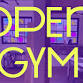 Open Gym at Design Gym event image