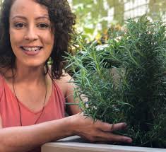 10 influenciadores do mundo das hortas que você precisa conhecer -