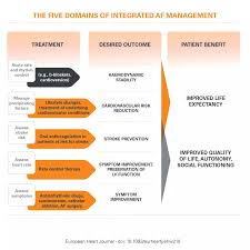 Image result for Atrial Fibrillation Rhythm Control