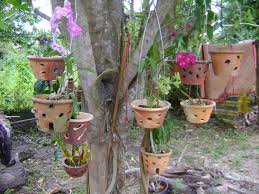 Steeldeco enterprise rak pasu bunga dinding. Ceria Ceria Seri Bunga Orkid Anggerik Rumah Tumpangan Jadi Jadian