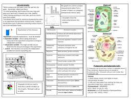 Check spelling or type a new query. Lab And Graphs Cells Plant Cell Prokaryotic And Eukaryotic Cells