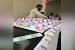 Groom White Car Decoration For Wedding