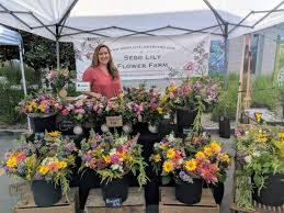 When you order one of our premier hemp flowers, you can expect a refreshing smoking experience with exceptional cbd and terpene counts. Plants Archives Page 2 Of 46 Debra Prinzing