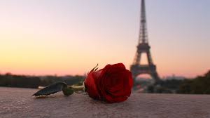 Looking for the best wallpapers? Wallpaper Red Rose Eiffel Tower Paris 1920x1200 Hd Picture Image
