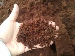 What should be the proportion of soil and coco peat for growing vegetables in the tarrece in pots. The Facts About Coco Coir Fibredust