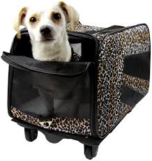 We did not find results for: Amazon Com Dbest Products Pet Smart Cart Medium Leopard Rolling Carrier With Wheels Soft Sided Collapsible Folding Travel Bag Dog Cat Airline Approved Tote Luggage Backpack Home Kitchen