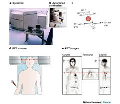 Multidetector computed tomography (mdct) is a form of computed. Molecular Imaging Of Cancer With Positron Emission Tomography Nature Reviews Cancer