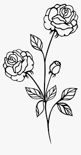 Rose Bush Clipart Plan Flower Png Black And White Transparent Png Transparent Png Image Pngitem Potted plants can be planted any time between spring and fall, but preferably spring. rose bush clipart plan flower png