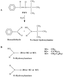Femtosecond Dynamics Of The Tert-Butyl Radical, T-C4H9