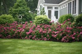You'll need 200 tulip bulbs; Front Yard Landscaping Ideas To Sell Your Home Decorative Plants For Instant Curb Appeal Hgtv