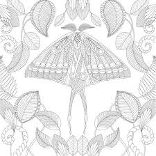Moth coloring page for kids. Butterfly And Moths Colouring Pages