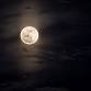 Full Moon Hike event image