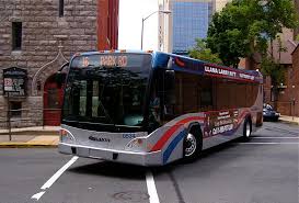 Image result for Bussea