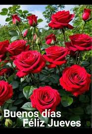 Buenos días feliz jueves bendiciones ☕????????❤️???????? | Facebook
