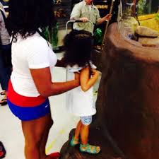 Well you're in luck, because here they come. Aquatic Critter 54 Photos 51 Reviews Aquarium Services 5009 Nolensville Pike Nashville Tn Phone Number