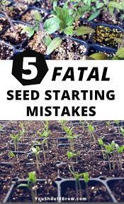 Pin By Carmie Turner On Garden Organic Gardening Tips Organic Vegetable Garden Seed Starting