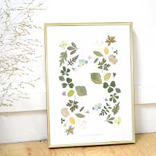 Herbier Botanique Art Des Fleurs Pressees Art Floral Faire Secher Des Fleurs