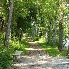 atelier arcadie paysagiste jardin de lecture paysage