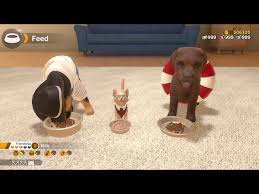 U must have sum1 to breed your dog with. Little Friends Dogs Cats Brings Nintendogs Style Fun To The Switch Little Friends Dogs And Cats