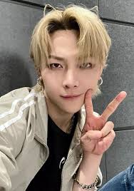 Nicholas (&TEAM) Profile, Age, Birthday, Height, & Facts