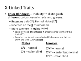 This happens because in females the white eyed recessive gene from the mother is covered by the red eye dominant gene. Human Genetics Ppt Download