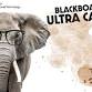Blackboard Ultra Café (in-person) event in Tuscaloosa, AL