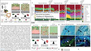 Because materials cannot get through cell walls, fungal cells have special openings called pores. Breaking News Complex Plant Fiber Intact Plant Cell Walls Needed To Maintain Colonic Mucus Layer Prebiotics Alone Not Enough Prebiotics