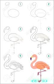 How to draw a flamingo. Page Shows How To Learn Step By Step To Draw A Cute Flamingo Royalty Free Cliparts Vectors And Stock Illustration Image 105785216