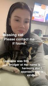 UPDATE: REUNITED!! Apollo is home safe & sound after 2 days, 9 hours :)  Please spread the word for this lost cat. Apollo was LOST