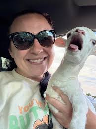 Where to find bottle calves or freshly weaned calves in Springfield, MO?