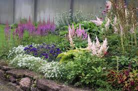 What perennials bloom the longest. 16 Long Blooming Perennials You Can Enjoy Forever Gardening