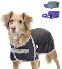 Derby Originals Solid Color Horse Tough 600d Waterproof Ripstop Nylon Winter Dog Coat 150g Polyfil With One Year Warranty