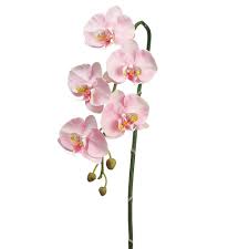 Hand assembled of plastic and polyester over a wire center. Faux Phalaenopsis Orchid Stem Permanent Orchid Stem Faux Orchid Palm Bungalow