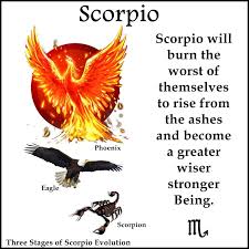 Cheqqroyal Zodiac Signs Scorpio Scorpio Symbol Scorpio Sign