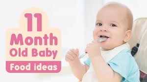 11 Months Old Baby Food Chart Along With Homemade Recipes