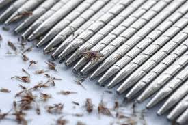 Check spelling or type a new query. What Do Lice Look Like 20 Close Up Pictures Of Lice Pest Strategies