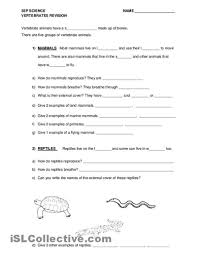 18 Best Images Of Worksheets Classification Of Vertebrates Classifying Vertebrates Worksheet Good Grades Classification Of Vertebrates Image