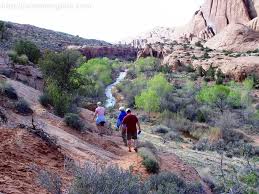 Beautiful summer day at mill creek waterfall. James Mcgillis Teacher Writer Photographer