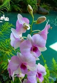 We did not find results for: Pin On Beautiful Things I M Telling You You People Are Really Pissing Me Off Stay Out Of My Pins I Created Them They Are My Private Things I L