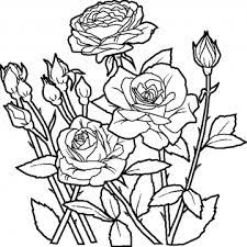 Plus, it's an easy way to celebrate each season or special holidays. Print Download Some Common Variations Of The Flower Coloring Pages Rose Coloring Pages Flower Coloring Sheets Printable Flower Coloring Pages