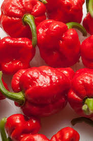 The scoville scale and the heatmeter list numerous chili pepper varieties sorted by their pungency and their capsaicin content in scoville heat units (shu). Trinidad Moruga Scorpion Pepper All About It Chili Pepper Madness