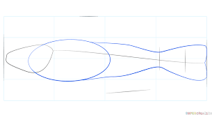 How To Draw A Catfish Step By Step Drawing Tutorials