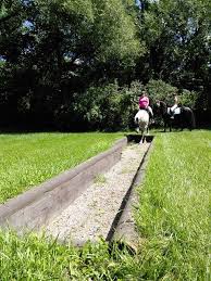 251 Best Extreme Cowboy Trail Course Obstacles Images On In 2020 Horse Training Cross Country Jumps Obstacle Course