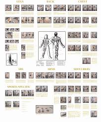 Weider 8530 Exercise Chart Pdf Weider 8630 Weight Chart