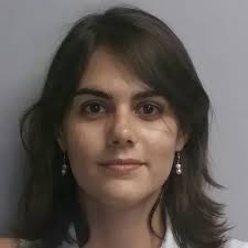 Division of Communication, History, and Politics