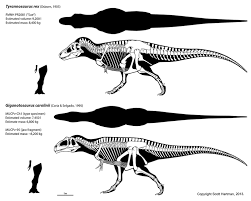 Original file at image/png format. Mass Estimates North Vs South Reduxdr Scott Hartman S Skeletal Drawing Com
