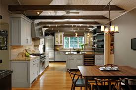 kitchen ceiling track lighting houzz