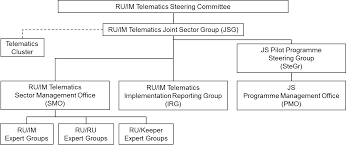 Organisational Structure Ru Im Telematics Joint Sector