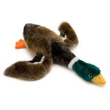 Bird That Sounds Like A Squeaky Toy At Night Akc Plush Mallard Dog Toy At Petco Pets Animals Plush Dog Toys Pet Dogs Puppies Plush Dog