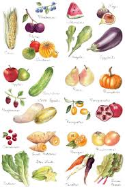 Fruits And Vegetables By Brooke Weeber Vegetable Illustration Vegetable Prints Food Illustrations